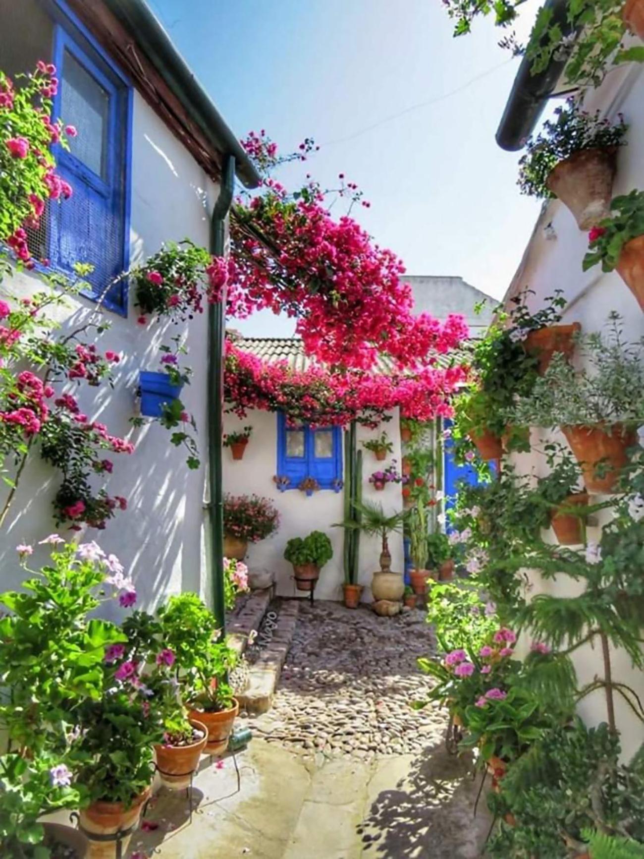 Nieves Viejas Los Patios Córdoba Buitenkant foto