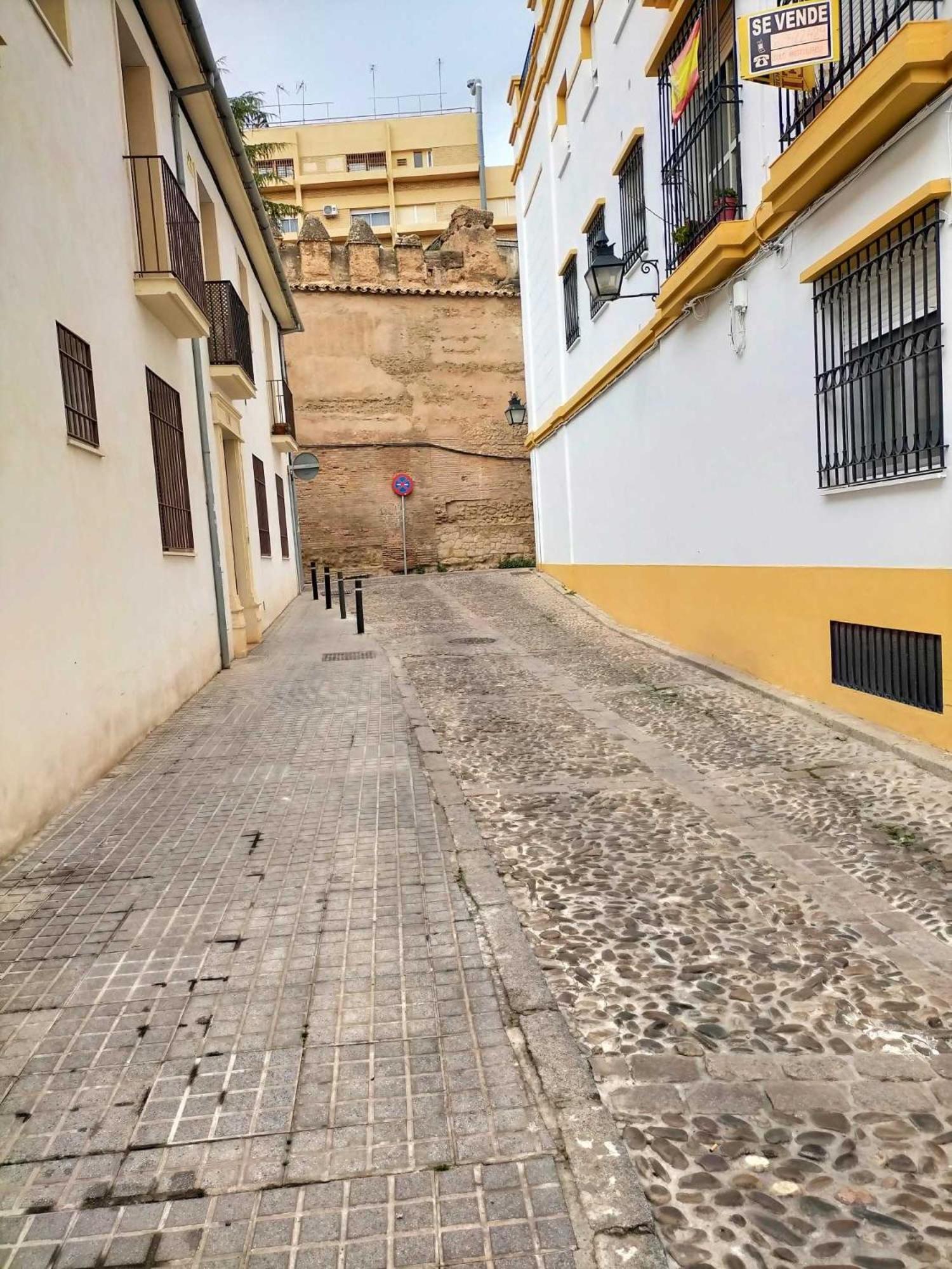 Nieves Viejas Los Patios Córdoba Buitenkant foto